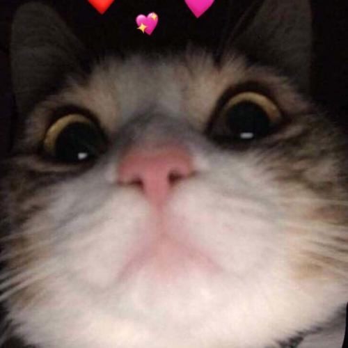 ขอบฟ้าความหวังอันซีดจาง