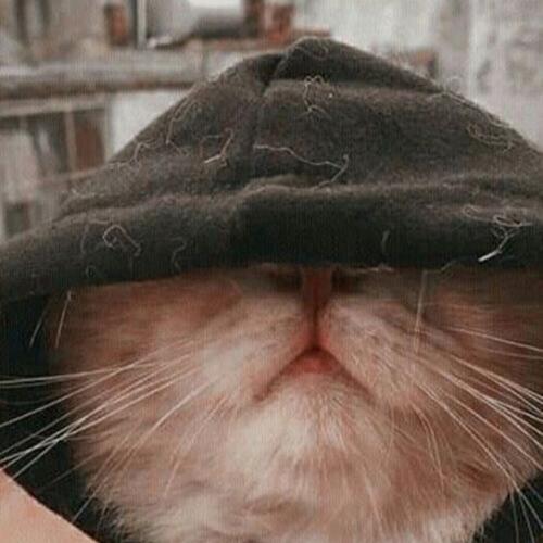 สมาชิกหมายเลข 6005162