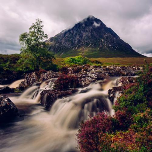 สมาชิกหมายเลข 7025528