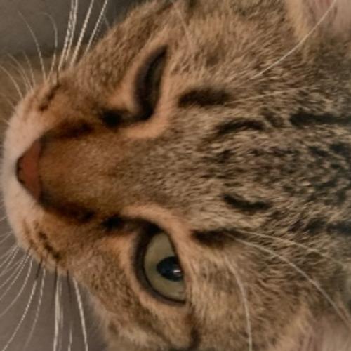 สมาชิกหมายเลข 2742980