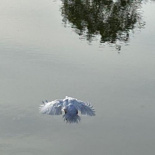 สมาชิกหมายเลข 8361326