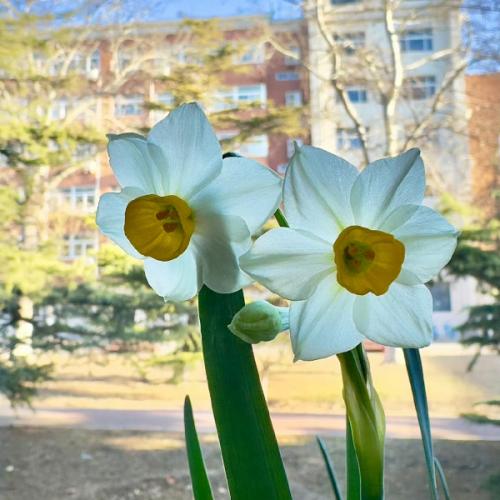 สมาชิกหมายเลข 8758364