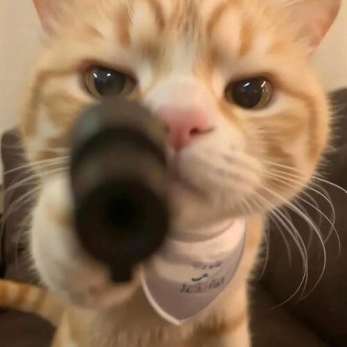 สมาชิกหมายเลข 8758569