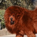 สมาชิกหมายเลข 3677672