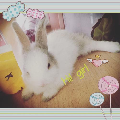 สมาชิกหมายเลข 4560061