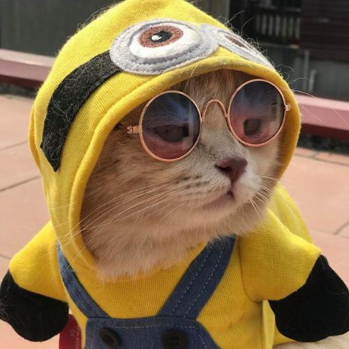 สมาชิกหมายเลข 5297856