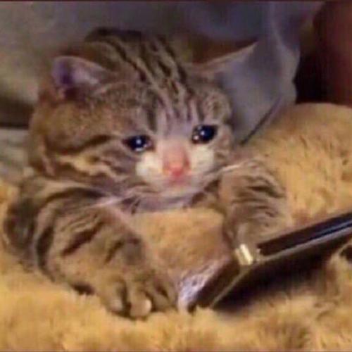 สมาชิกหมายเลข 5298106