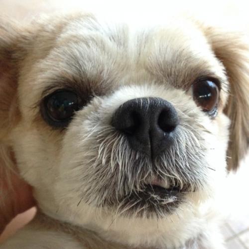 สมาชิกหมายเลข 2795699