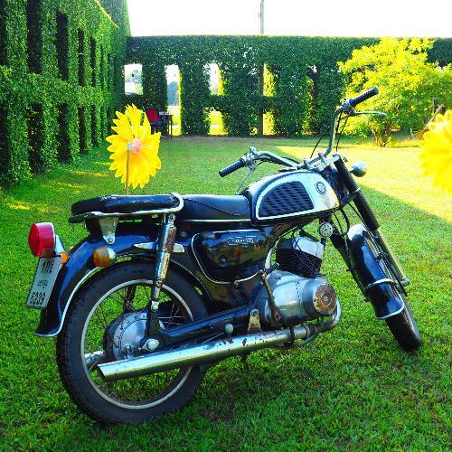 สมาชิกหมายเลข 6099181