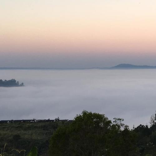 สมาชิกหมายเลข 5314577