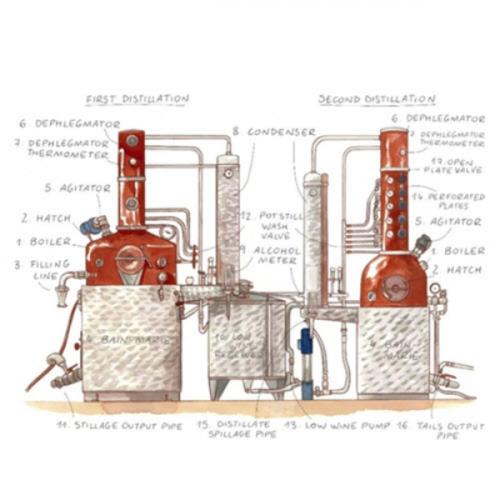 สมาชิกหมายเลข 7026328