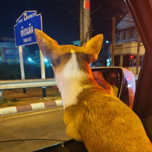 สมาชิกหมายเลข 8416173