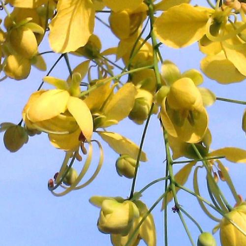 สมาชิกหมายเลข 8759771