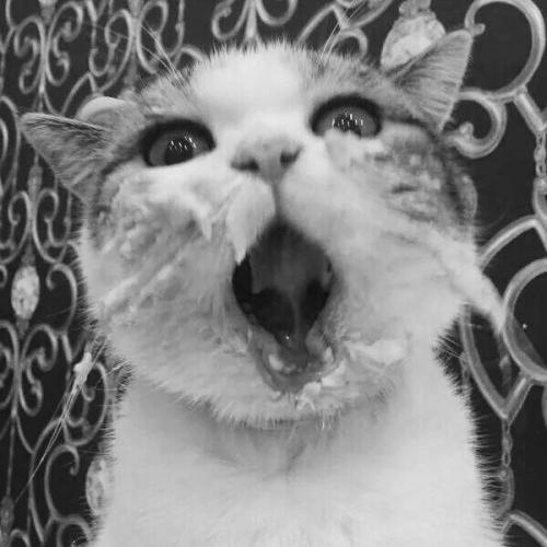 สมาชิกหมายเลข 3938869