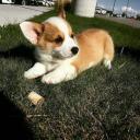 สมาชิกหมายเลข 4129877