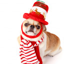 กรุณาเรียก สุดที่รัก