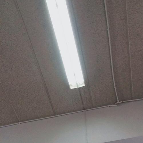 สมาชิกหมายเลข 3925458