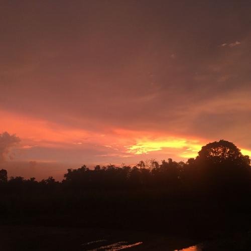 สมาชิกหมายเลข 4901585