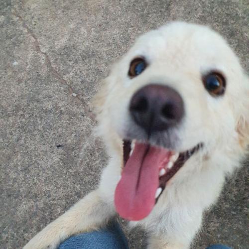 สมาชิกหมายเลข 2811232