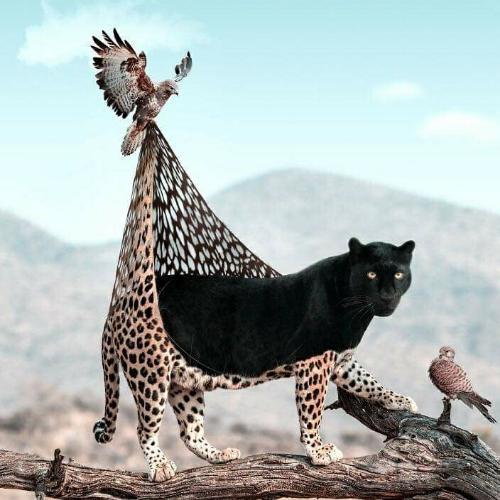 สมาชิกหมายเลข 5404466