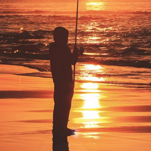 สมาชิกหมายเลข 6335186