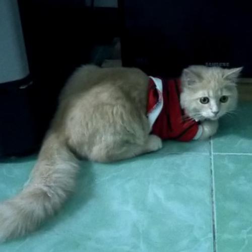 สมาชิกหมายเลข 6342015