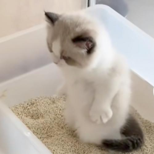 สมาชิกหมายเลข 3807998