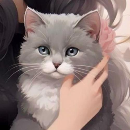 สมาชิกหมายเลข 7231317