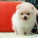 สมาชิกหมายเลข 2689612