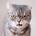 สมาชิกหมายเลข 2422348