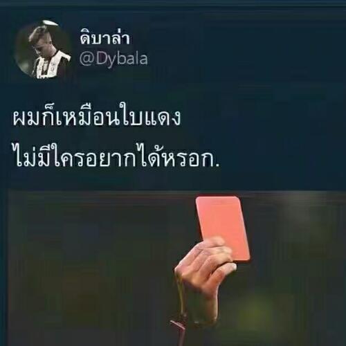 สมาชิกหมายเลข 4558934