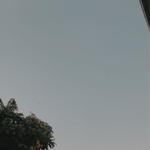 สมาชิกหมายเลข 5648656