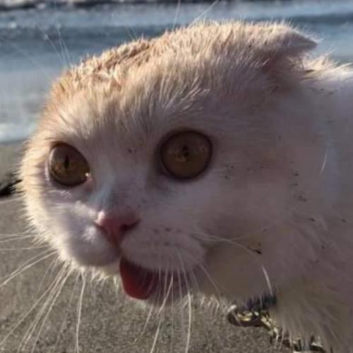 สมาชิกหมายเลข 5753553