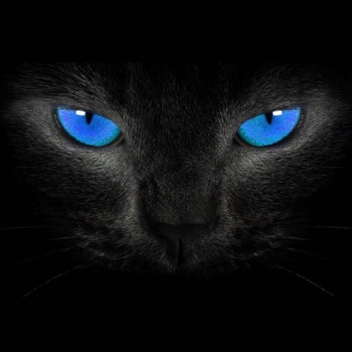 สมาชิกหมายเลข 6141332