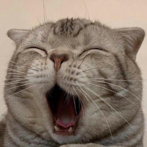 สมาชิกหมายเลข 6325762