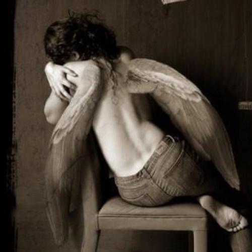 สมาชิกหมายเลข 6343077