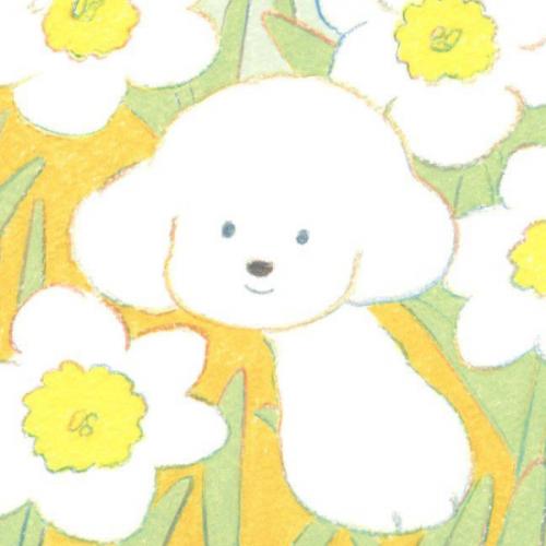 สมาชิกหมายเลข 5827694