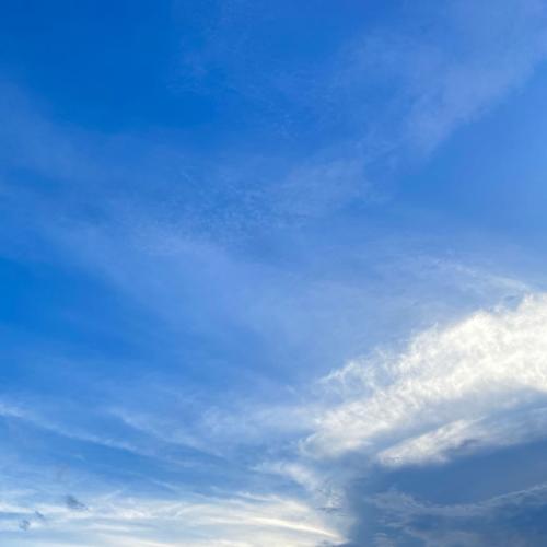 สมาชิกหมายเลข 2416474