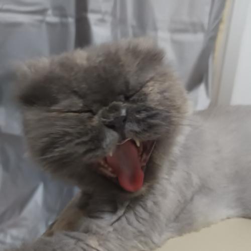 สมาชิกหมายเลข 8106064