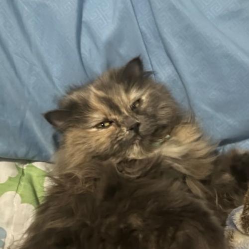 สมาชิกหมายเลข 8761593