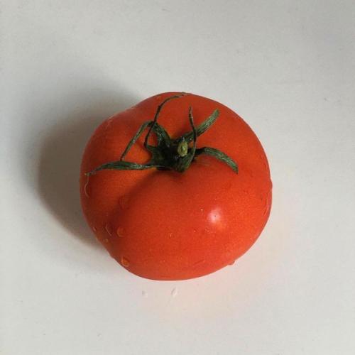 สมาชิกหมายเลข 8762470