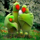 สมาชิกหมายเลข 4140894