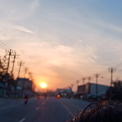 สมาชิกหมายเลข 4560236