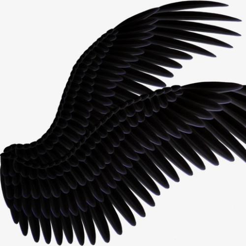 สมาชิกหมายเลข 4278012