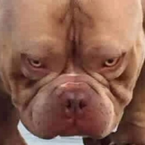 สมาชิกหมายเลข 5753812