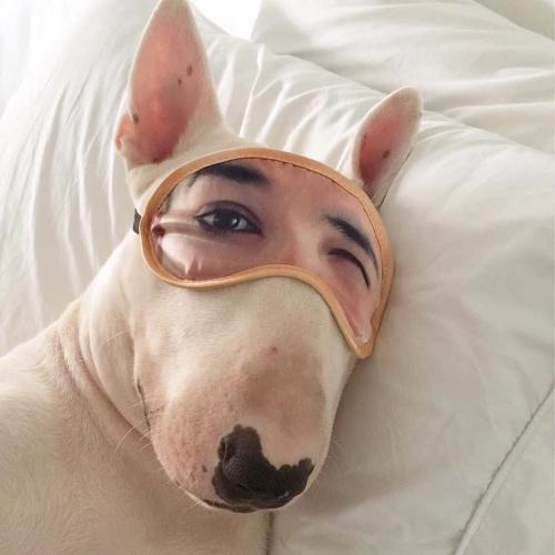 สมาชิกหมายเลข 3563853