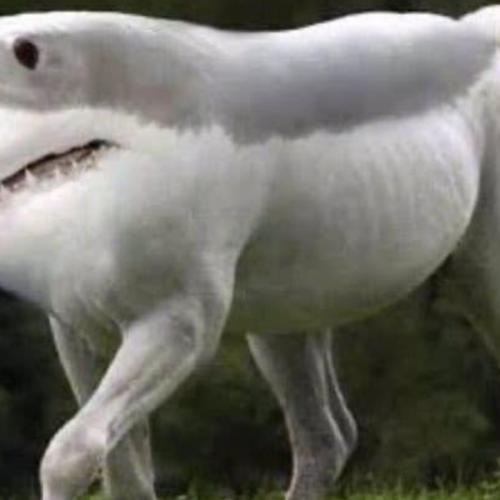 สมาชิกหมายเลข 5470656