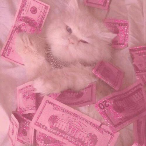 สมาชิกหมายเลข 6343932