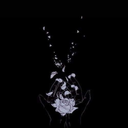 สมาชิกหมายเลข 6344376