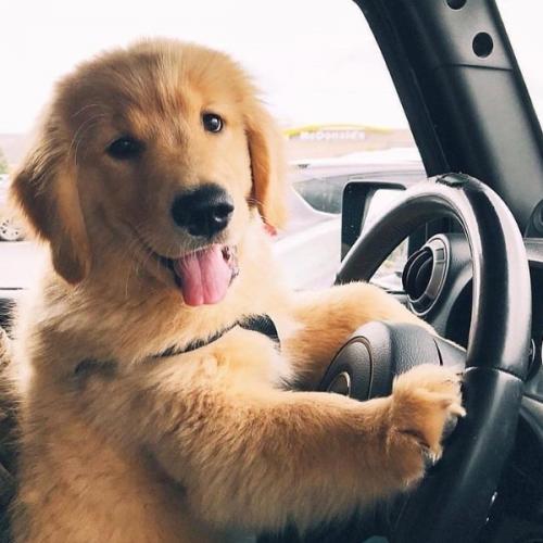 สมาชิกหมายเลข 7028286